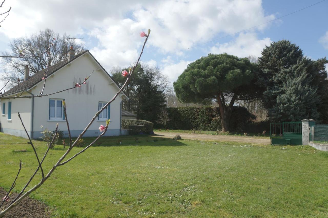 Les Bruyeres De Jeanne Et Rene Zoo De Beauval A 20Min,Chateaux Tout Inclus Fontguenand Exterior photo