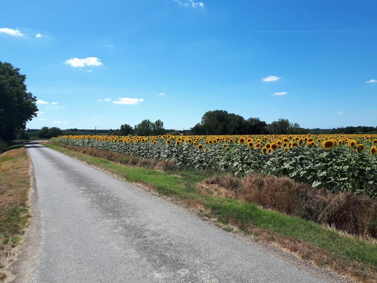 Les Bruyeres De Jeanne Et Rene Zoo De Beauval A 20Min,Chateaux Tout Inclus Fontguenand Exterior photo